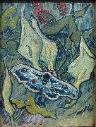 Vincent Van Gogh Butterflies painting